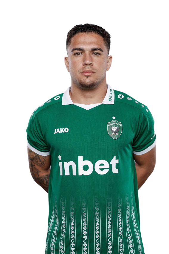 Кайо Видал 