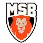 Le Mans Sarthe Basket